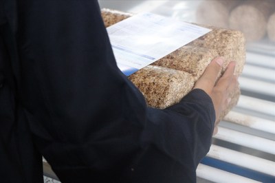 Топливные брикеты